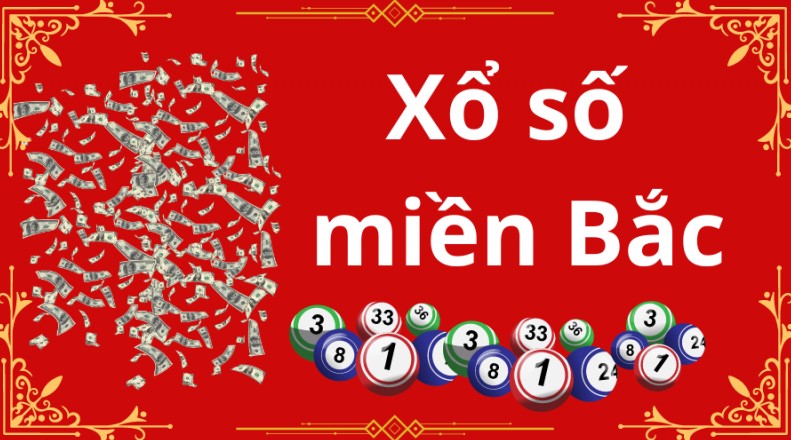 Sảnh chơi cá cược có giao diện dễ dùng với người mới